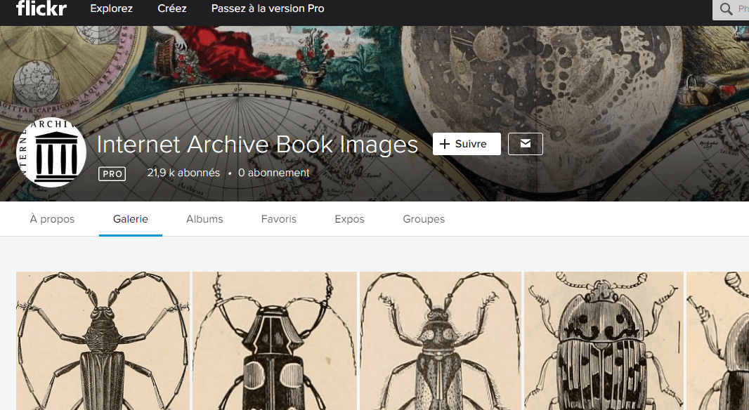 Opera Instantané_2018-11-17_150133_www.flickr.com