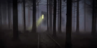 Nouvelle année, nouvelles&nbsp;perspectives